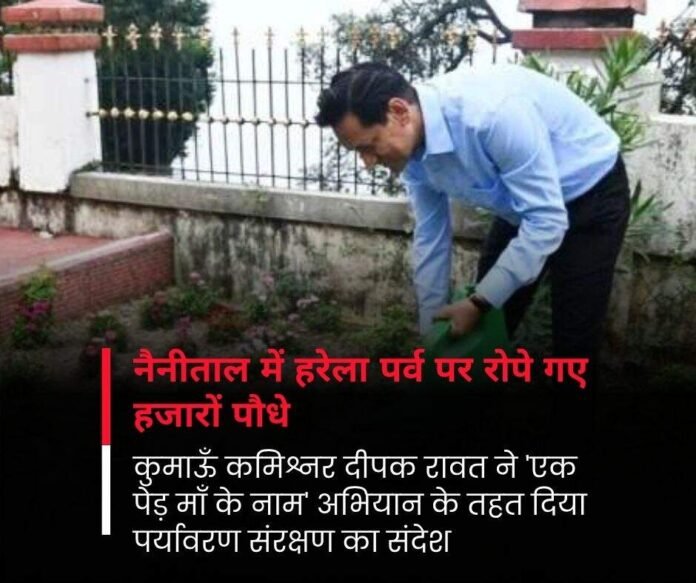 नैनीताल